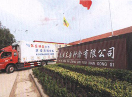 公司簡介 公司簡介